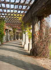 Obraz premium Pergola jesienna