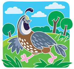Children vector illustration of little quail