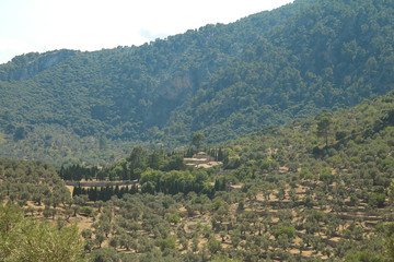 Fototapeta na wymiar Landscape from Palma