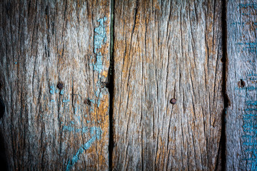 Texture and color of old  log