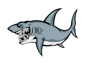 Big grey shark