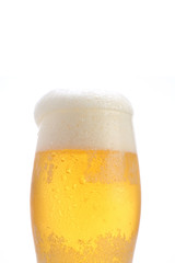 ビールと泡　白バック
