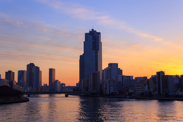Fototapeta premium Skyscraper in Tokyo at dusk