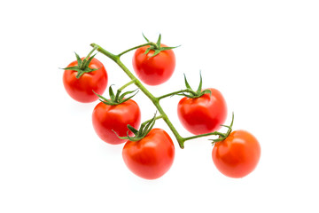 Tomato isolated on white