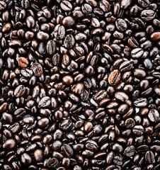 Coffee beans isolated on white background