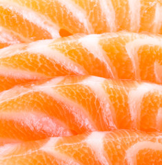 Salmon meat close up