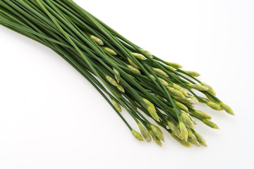 Fototapeta premium Garlic chives