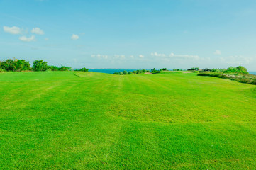 Golf club and ball in grass