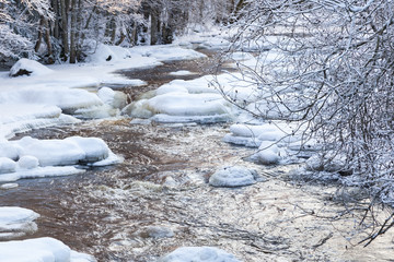 River in wintry forest