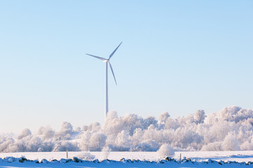 Winter landscape