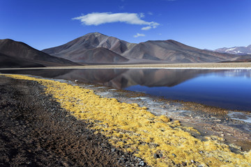 Black lagoon (Laguna Negra), volcano Pissis, Catamarca, Argentin