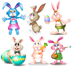 Fototapeta premium Rabbits