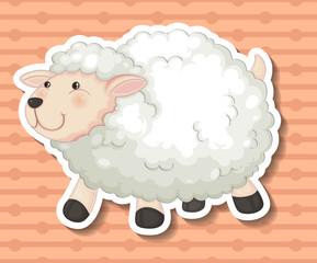 Sheep