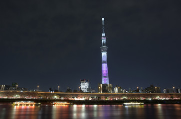 隅田川の夜桜