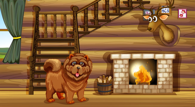Dog and fireplace