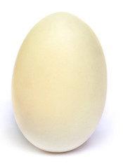 White egg