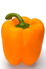 orange pepper over white background