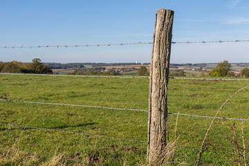 Pré entouré