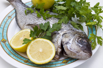Isolated fresh bream