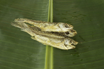 Fried Fish