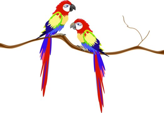 Macaw parrots on branch