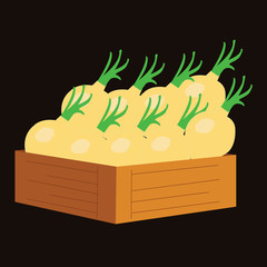 yellow onion in a wooden crate. vector illustration