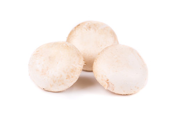 white mushrooms
