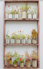 Flower In  Cans on wooden shelf