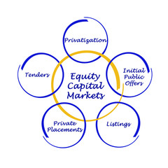 Equity Capital Markets