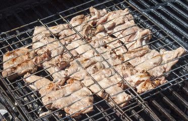 Grilled meat in special fixture.