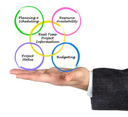 Real-Time Project Information