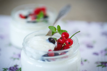 homemade yogurt