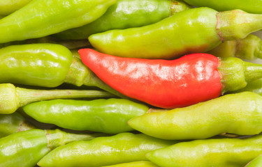 One red bird chilli in the green chili