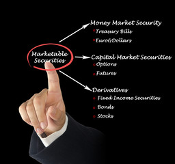 Marketable Securities