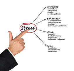 Diagram of stress consequences