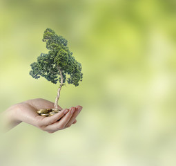 Investing to green business