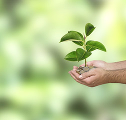 Investing to green business