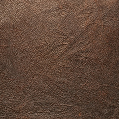 Brown leather material fragment