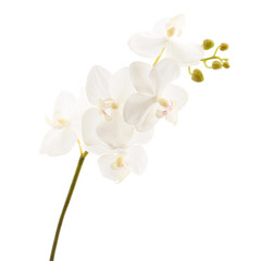 Fototapeta premium Sztuczny kwiat orchidei na białym tle