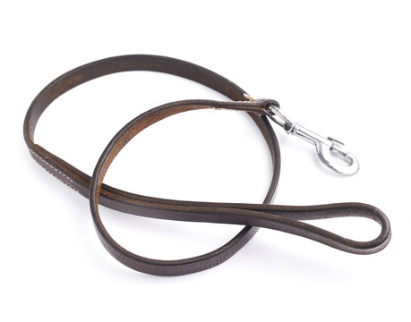 Old leather dog leash composition
