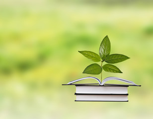 Sapling growing from book