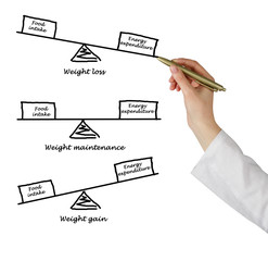 Balance between Energy intake and Energy expenditure