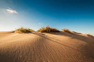 Sand dunes on the coast of Sicily
