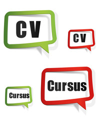 bulle : curriculum vitae - CV - cursus