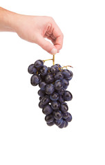 Hand holding black grape fruit