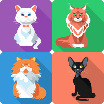 Set Cat icon flat design