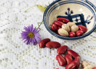 Beans&flower