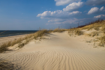 Fototapeta na wymiar Beautiful beach with a dune