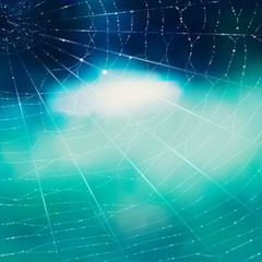 Spider's web