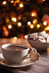 Hot chocolate with fresh gingerbread